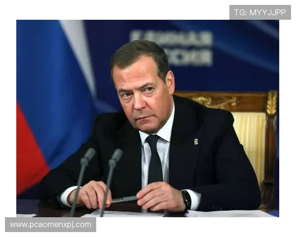 新普京官方网站：俄罗斯政治局势与普京在国际舞台上的最新表现