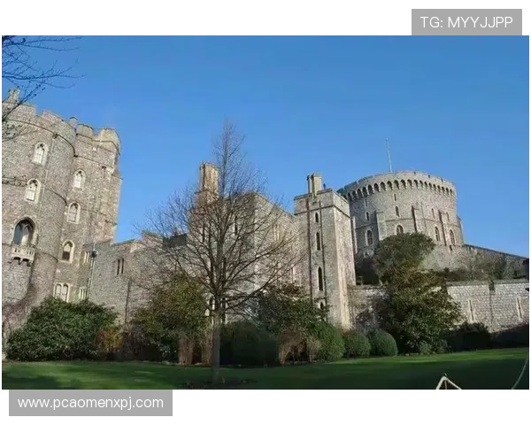 温莎国际：探索全球奢华生活方式的理想选择与投资指南