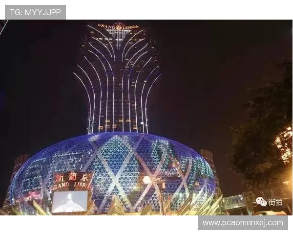 澳门新葡京app功能介绍与使用技巧，助你轻松掌握高效娱乐玩法