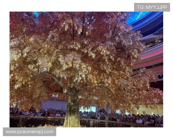 澳门葡京开户最新优惠政策,助您轻松赢取丰厚奖金 澳门葡京开户最新优惠政策,助您轻松赢取丰厚奖金