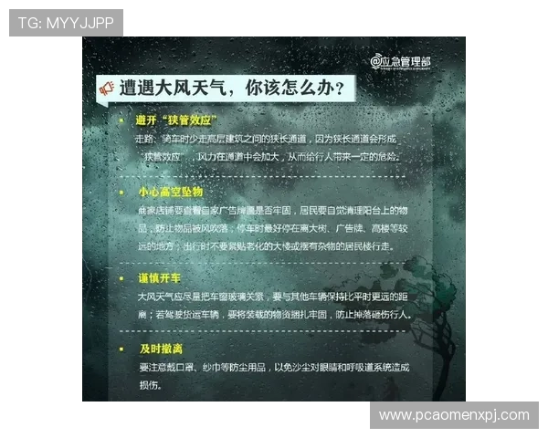 百家乐路单教程详解如何正确分析和利用路单提升游戏胜率的方法指南