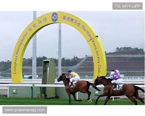 hkjc地址平台官方入口及其在香港赛马会中的应用场景分析