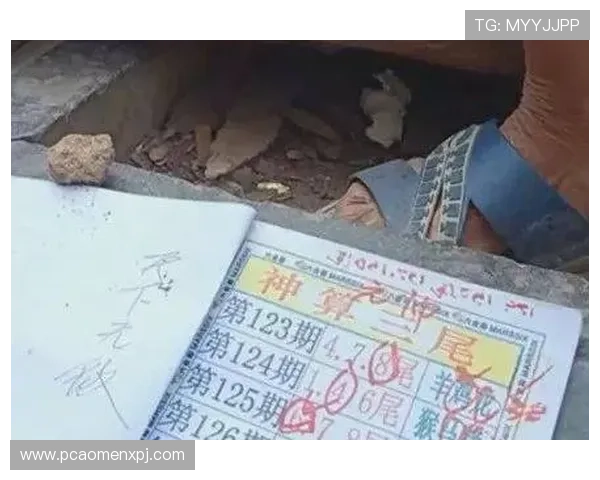 便捷安全的六合彩在线官网，满足不同用户的投注需求与中奖体验