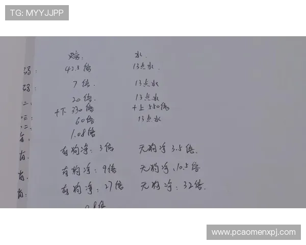 六合彩网娱乐中奖技巧与风险控制策略帮助玩家理性投注实现盈利