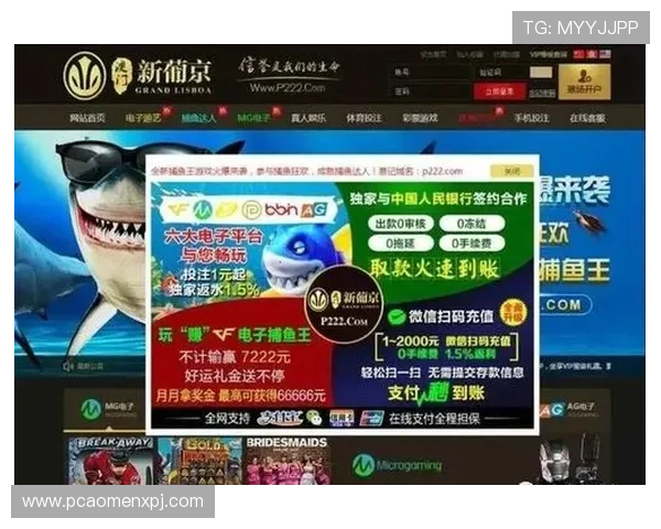 新葡京安卓版最新版本更新内容详解,优化游戏体验提升玩家满意度