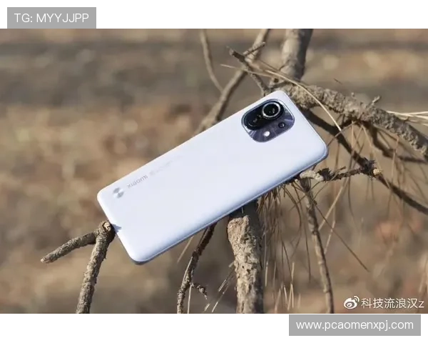 瓦力视讯app如何优化网络连接确保视频通话流畅无卡顿体验