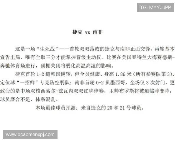 捷克vs南非比赛期间的观赛注意事项及应急处理指南推荐