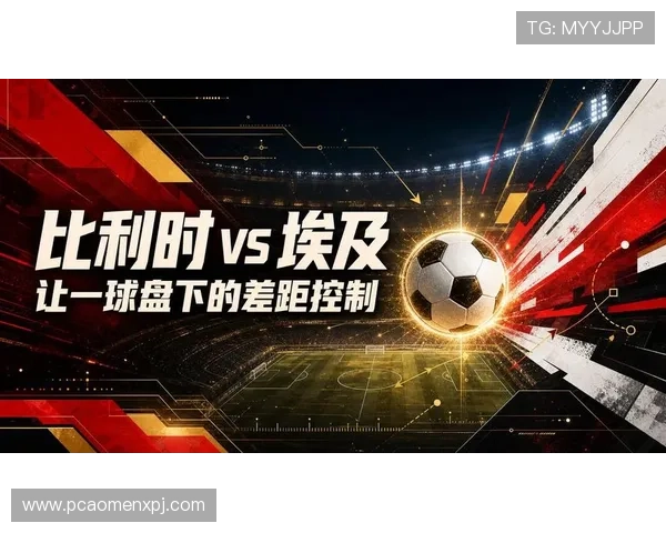 比利时vs埃及比赛录像高清完整版，比赛精彩瞬间全场回放解析